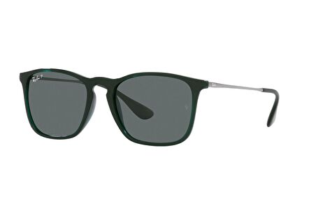 Ray-Ban RB4187 666381 54 Polarize Unisex Güneş Gözlüğü