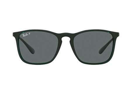 Ray-Ban RB4187 666381 54 Polarize Unisex Güneş Gözlüğü
