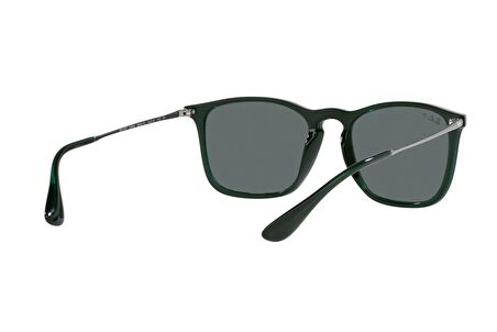 Ray-Ban RB4187 666381 54 Polarize Unisex Güneş Gözlüğü