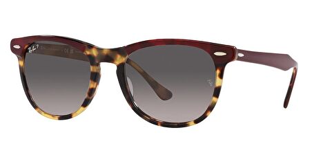 Ray-Ban RB2398 1377M3 53 Polarize Unisex Güneş Gözlüğü