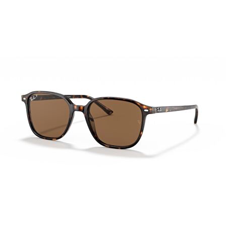 Ray-Ban Leonard Güneş Gözlüğü RB 2193 138085 53