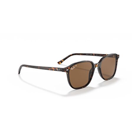 Ray-Ban Leonard Güneş Gözlüğü RB 2193 138085 53