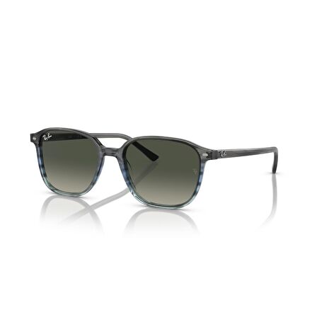 Ray-Ban Leonard Güneş Gözlüğü RB 2193 138171 53 G