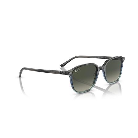 Ray-Ban Leonard Güneş Gözlüğü RB 2193 138171 53 G