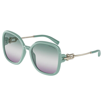 TIFFANY 0TF4202U 57 8379EL
