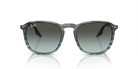 Ray-Ban 0RB 2203 1391/GK 55