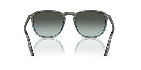 Ray-Ban 0RB 2203 1391/GK 55