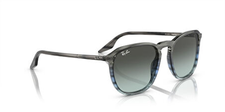 Ray-Ban 0RB 2203 1391/GK 55