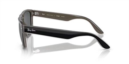 Ray-Ban 0RB 4407 6733/81 57