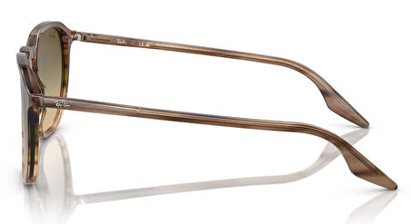 Ray-Ban RB2203 13920A 52 Unisex Güneş Gözlüğü