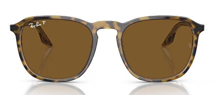 Ray-Ban RB2203 139357 52 Polarize Unisex Güneş Gözlüğü