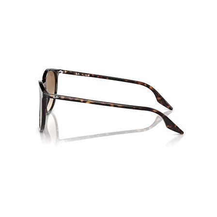 Ray-Ban RB 2204 90251 51 Unisex Oval Kırçıllı Kahverengi Kemik Güneş Gözlüğü