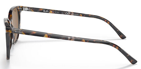 Ray-Ban RB2197 135757 54 Polarize Unisex Güneş Gözlüğü