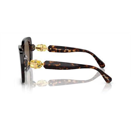 Swarovski 0SK6001 10027355 HN Kadın Güneş Gözlüğü