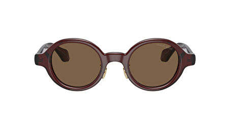 GIORGIO ARMANI GÜNEŞ AR8205 606273 46