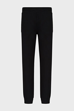 Emporio Armani Erkek Pantolon 8N1PS9 1JRIZ 0999
