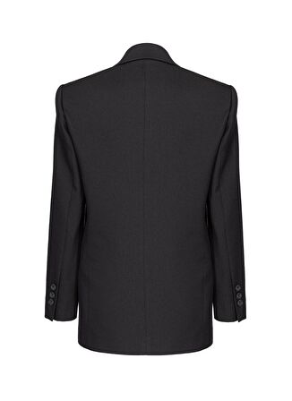 Pinko Siyah Kadın Blazer 102481