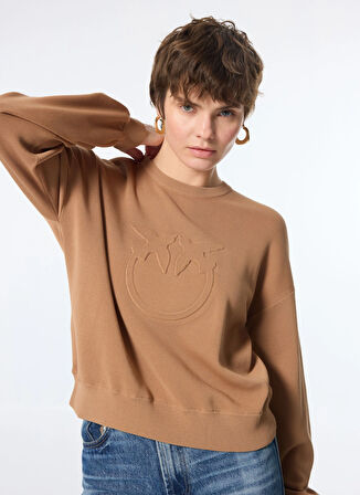 Pinko Yuvarlak Yaka Düz Açık Kahve Kadın Sweatshırt 104002-A115/D91