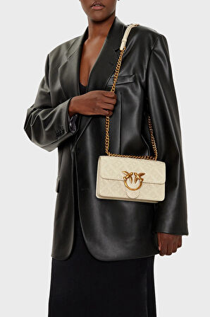 Pinko Bayan Çanta 100074 A1YB Z14Q
