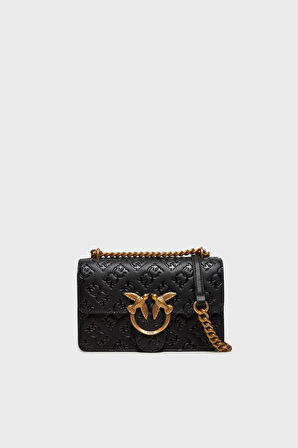 Pinko Bayan Çanta 100074 A1YB Z99Q
