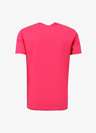 Bisiklet Yaka Düz Pembe Erkek T-Shirt 3DZTCF ZJ3VZ 14BL