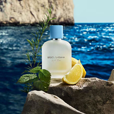 Dolce & Gabbana Light Blue Pour Homme EDT 100 ml Kadın Parfümü