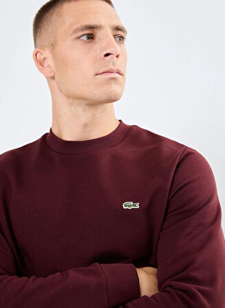 Lacoste Erkek Bordo Klasik Fit Sweatshirt