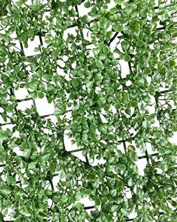Yapay Çiçek Duvar Kaplama Panel Şimşir Tabaka 50*50cm Dik Duvar Uygulama