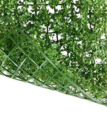 Yapay Çiçek Duvar Kaplama Panel Şimşir Tabaka 50*50cm Dik Duvar Uygulama