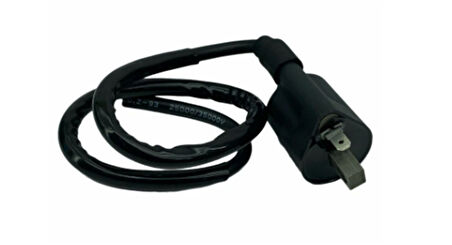 Monero Ateşleme Bobini Ybr125