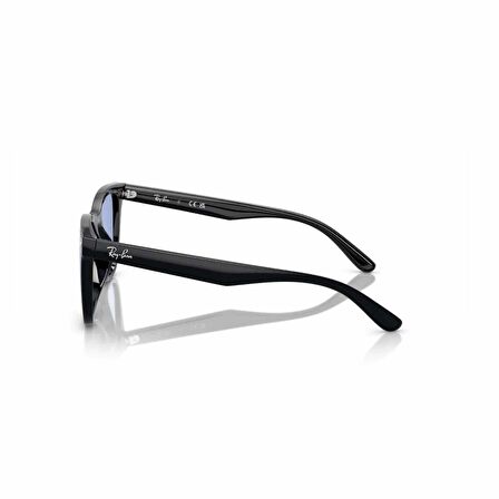Ray-Ban Rb 4420 60180 65 Unisex Kare Siyah Kemik Güneş Gözlüğü