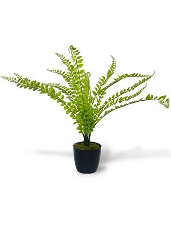 Yapay Çiçek Islak Sıkas Yukka 15yaprak 50cm Salon Çiçeği Plastik Siyah Saksılı Yapay Bitki