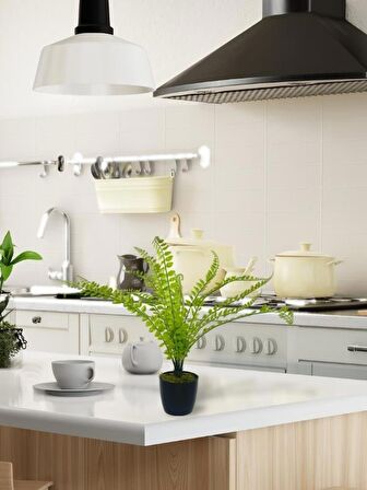 Yapay Çiçek Islak Sıkas Yukka 15yaprak 50cm Salon Çiçeği Plastik Siyah Saksılı Yapay Bitki