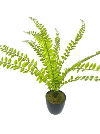 Yapay Çiçek Islak Sıkas Yukka 15yaprak 50cm Salon Çiçeği Plastik Siyah Saksılı Yapay Bitki