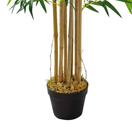 Yapay Bambu Ağacı Ekstra Doğal Görünüm Siyah Saksılı 6 dallı 150cm