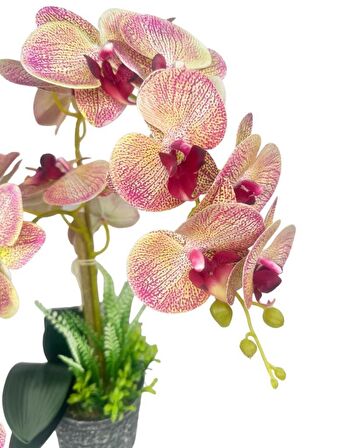 Yapay Çiçek 2li Pembe Damarlı Islak Orkide Seramik Saksıda Orkide 60cm