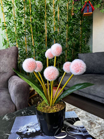 Yapay Çiçek Şampanya Rengi Pompon Siyah Saksıda Dekoratif Yapay Çiçek 30*20cm