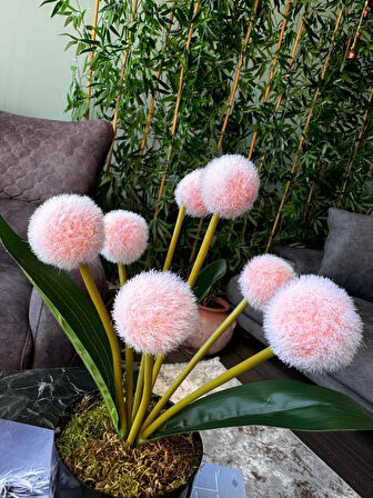 Yapay Çiçek Şampanya Rengi Pompon Siyah Saksıda Dekoratif Yapay Çiçek 30*20cm