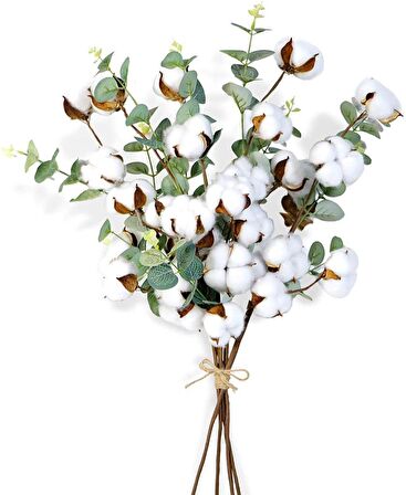 4 Adet Okaliptuslu Doğal Pamuk Çiçeği Dalı 5li Kuru Çiçek Yapay Çiçek
