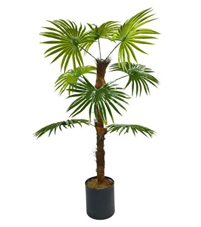 Yapay Ağaç Yelpaze Palmiye 8 Yaprak 85*55cm Siyah Aleminyum Saksı