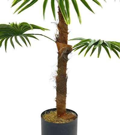 Yapay Ağaç Yelpaze Palmiye 8 Yaprak 85*55cm Siyah Aleminyum Saksı