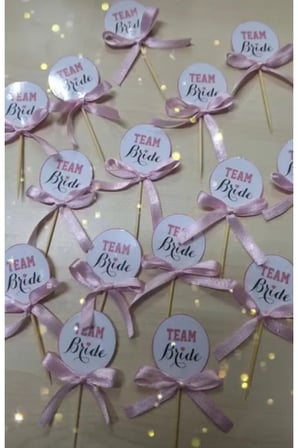 Bride Team Bekarlığa Veda Partisi Temalı Kürdan Pasta Süsü 15 Adet