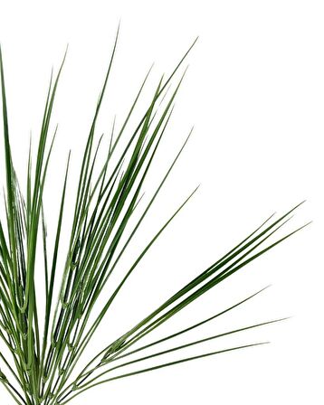 Yapay Çiçek Pastel Yeşil Grass Saz 50cm Bitki Yapay Çiçek Dekor Çiçeği Uzun Ot