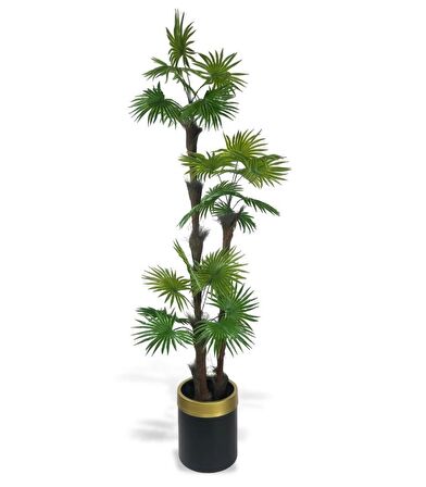 Yapay Ağaç Palmiye Fanpalm 3Katlı 24Yaprak Gold Kemerli Siyah Saksıda 165*65cm