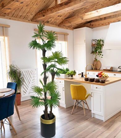 Yapay Ağaç Palmiye Fanpalm 3Katlı 24Yaprak Gold Kemerli Siyah Saksıda 165*65cm
