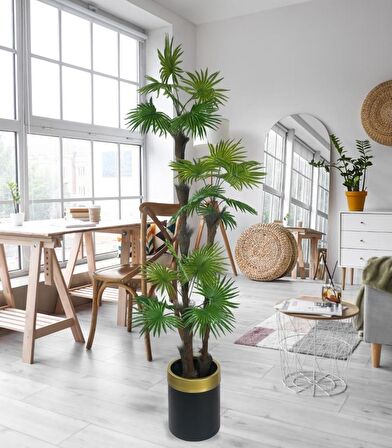 Yapay Ağaç Palmiye Fanpalm 3Katlı 24Yaprak Gold Kemerli Siyah Saksıda 165*65cm