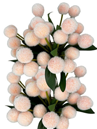 Yapay Çiçek Şampanya Rengi Pompon Çiçeği Dekoratif Yapay Çiçek 7 Toplu 30*20cm