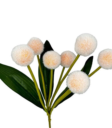 Yapay Çiçek Şampanya Rengi Pompon Çiçeği Dekoratif Yapay Çiçek 7 Toplu 30*20cm