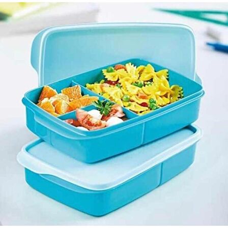 TUPPERWARE 1LT BÖLMELİ BESLENME KABI