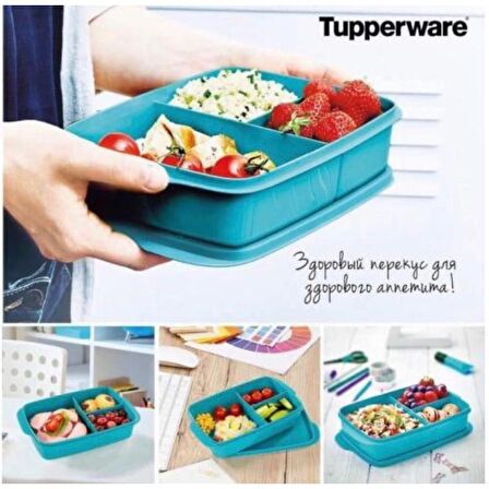 TUPPERWARE 1LT BÖLMELİ BESLENME KABI